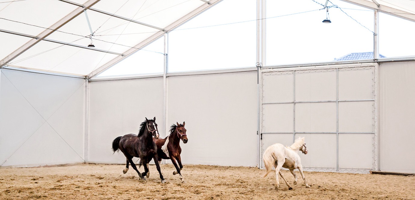 Швидкомонтована споруда: кінний манеж та стайня під одним дахом